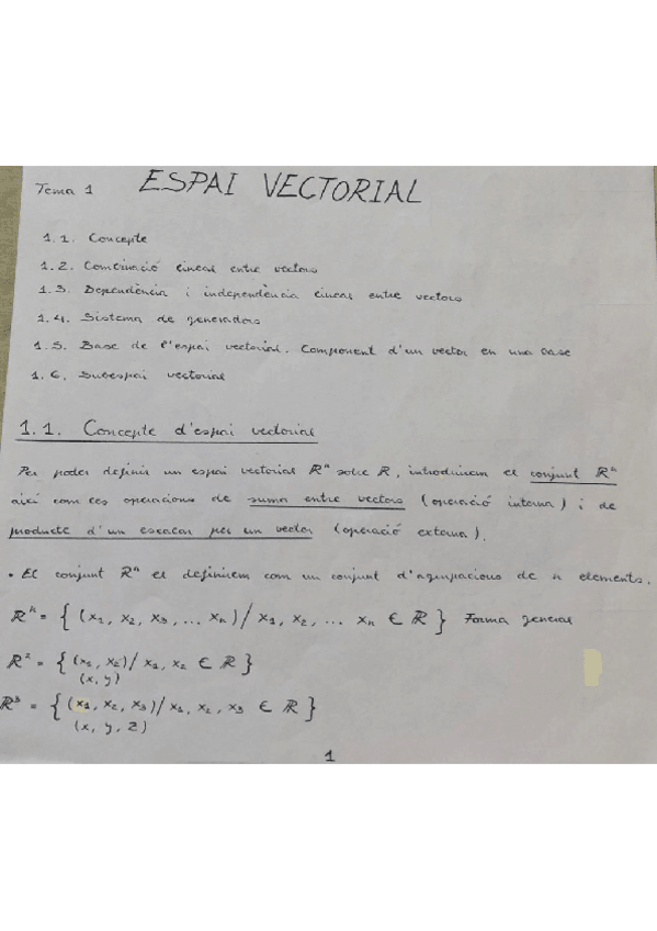 Miniatura del documento Espai vectorial.pdf