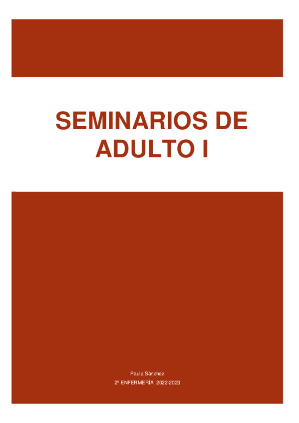 Miniatura del documento SEMINARIOS-ADULTO-i.pdf