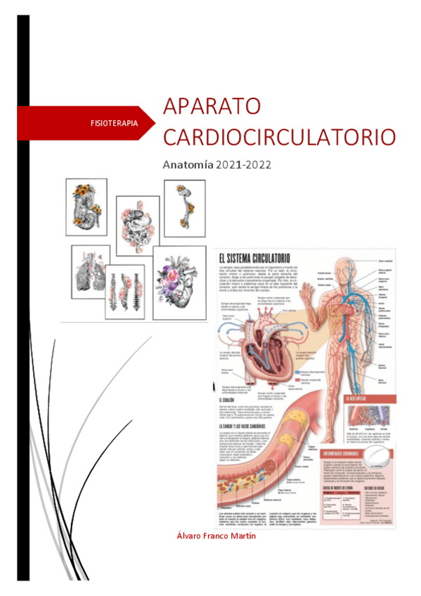 Miniatura del documento APARATO-CARDIOCIRCULATORIO.pdf