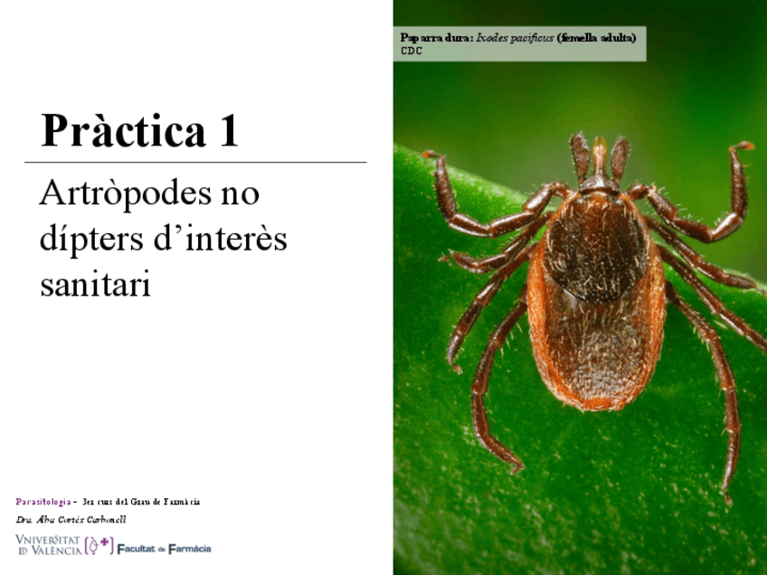 Miniatura del documento Practica-1-Power.pdf