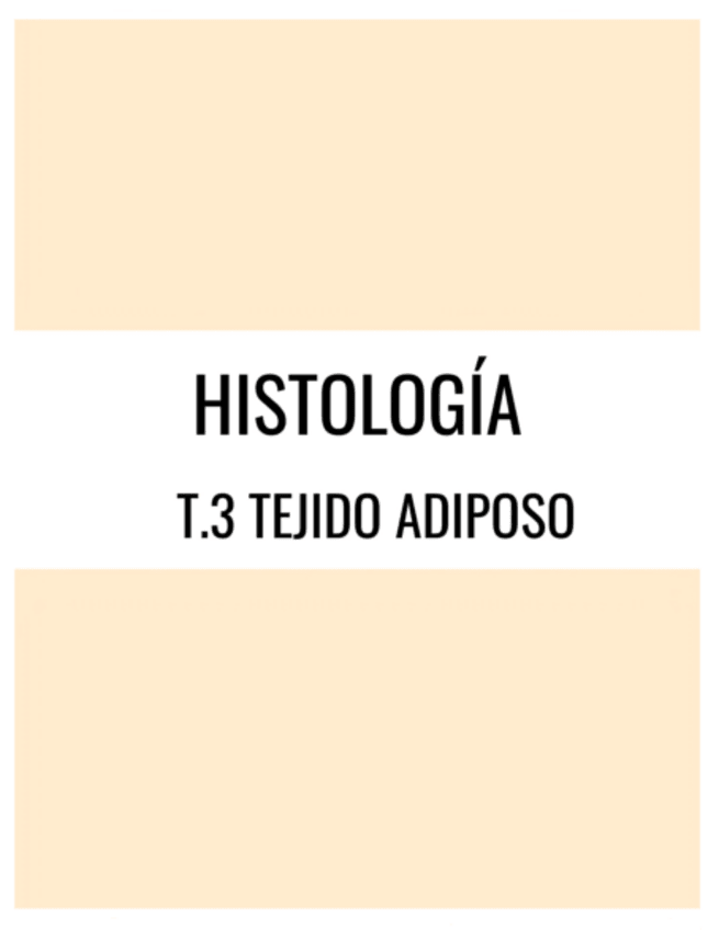 Miniatura del documento Histo-T.3-Tejido-Adiposo.pdf
