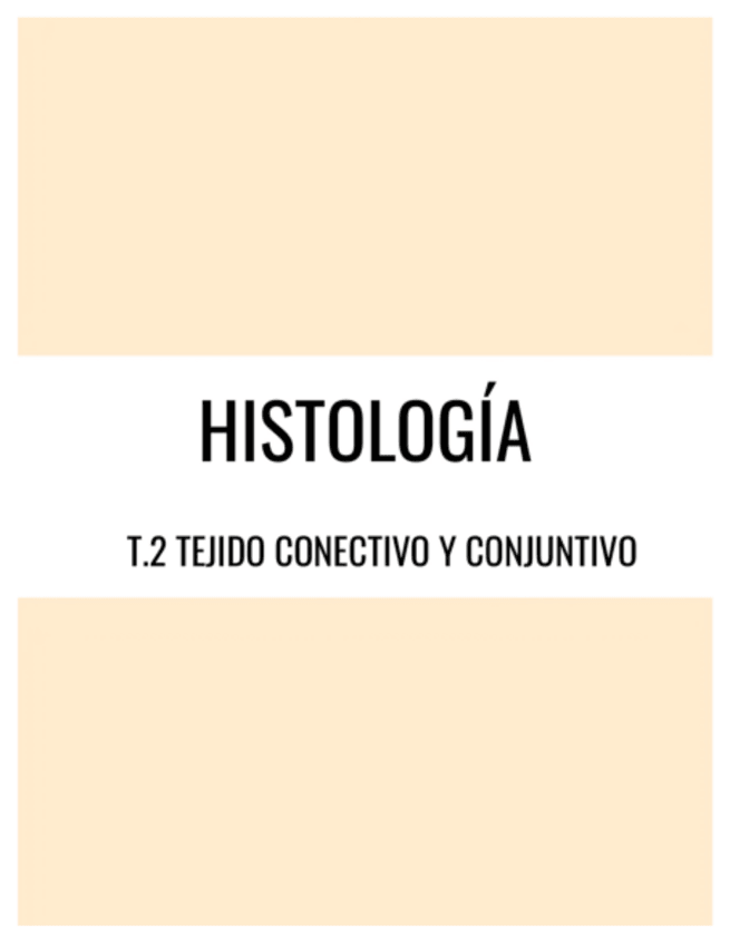 Miniatura del documento Histo-T.2-Tejido-Conectivo-Y-Conjuntivo.pdf