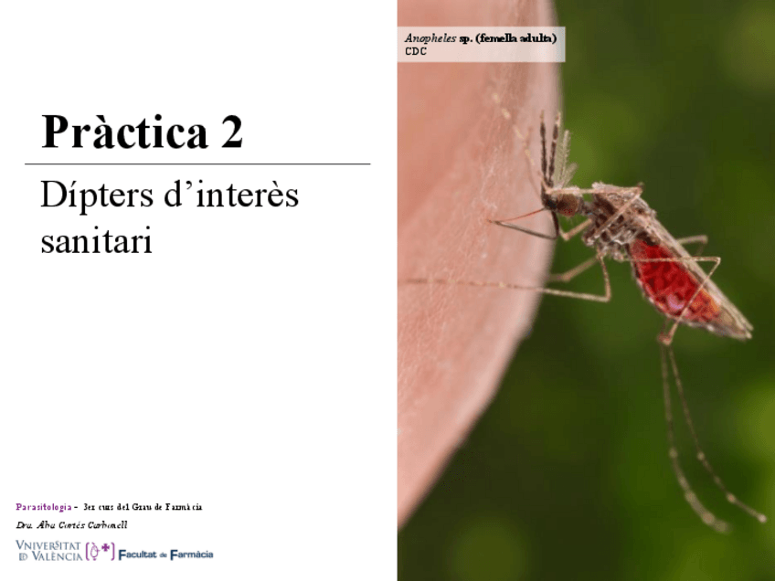 Miniatura del documento Practica-2-Power.pdf