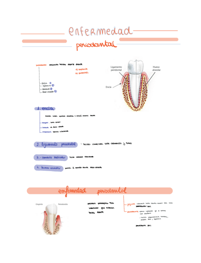Miniatura del documento Tema-31.pdf