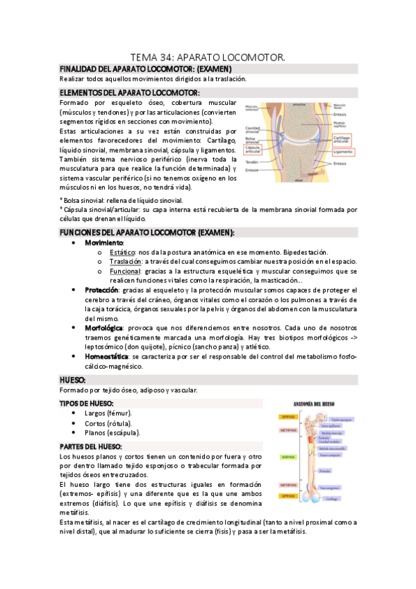 Miniatura del documento temas-34-36-final.pdf