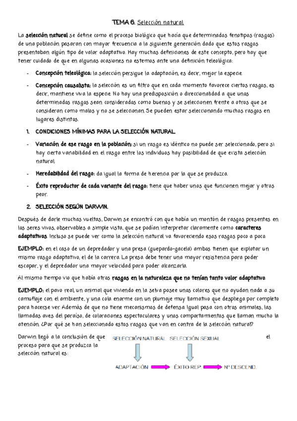 Miniatura del documento EA-6.pdf