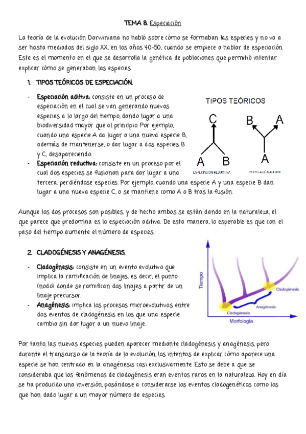 Miniatura del documento EA-8.pdf