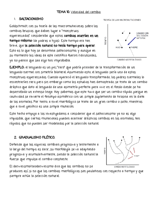 Miniatura del documento EA-10.pdf