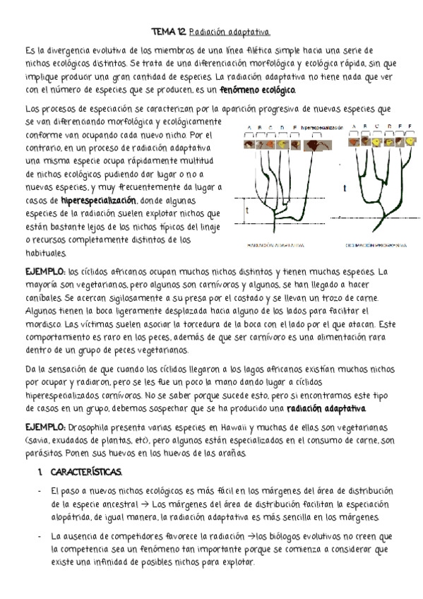 Miniatura del documento EA-12.pdf