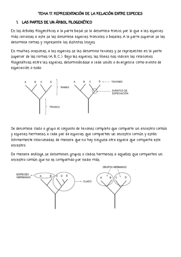 Miniatura del documento EA-17.pdf