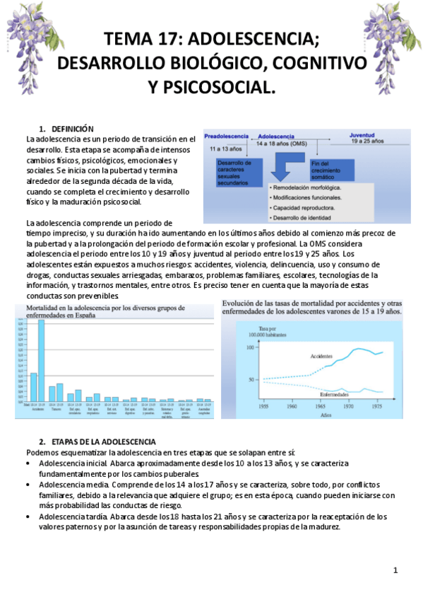 Miniatura del documento TEMA-17.pdf