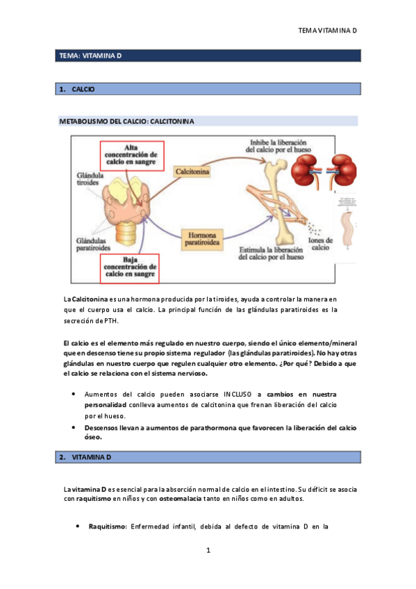 Miniatura del documento TEMA-VITAMINA-D.pdf