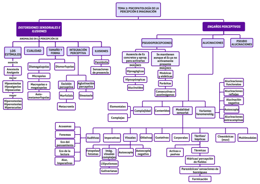 Miniatura del documento ESQUEMA-TEMA-3-solo-nombres.pdf