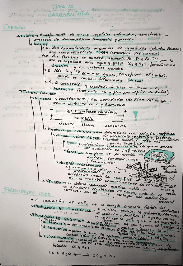 Miniatura del documento T12 Carboquímica Resumen.pdf