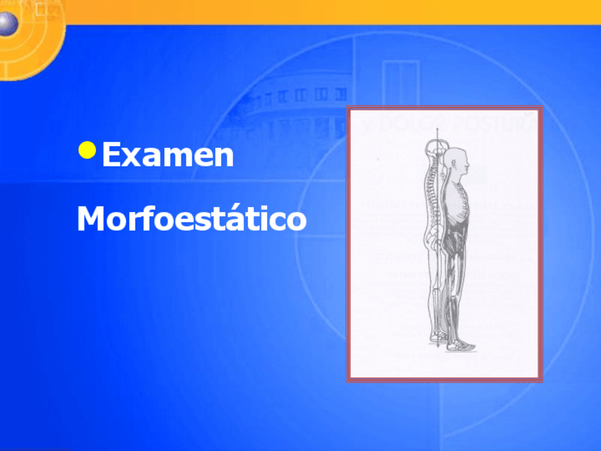 Miniatura del documento TEMA-678-Examen-Morfoestatico-MMSS-MMII-Y-RAQUIS.pdf