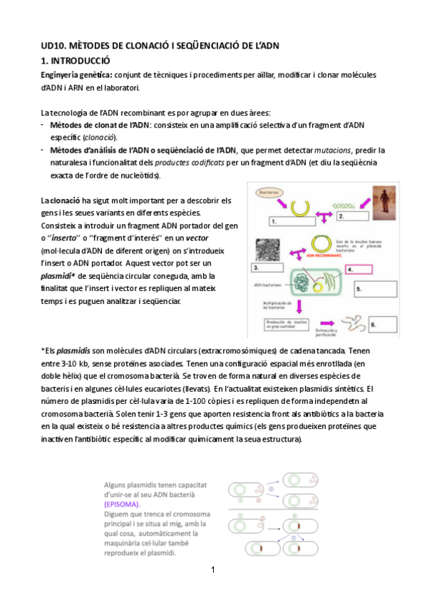 Miniatura del documento UD10-BIOLOGIA-MOLECULAR.pdf