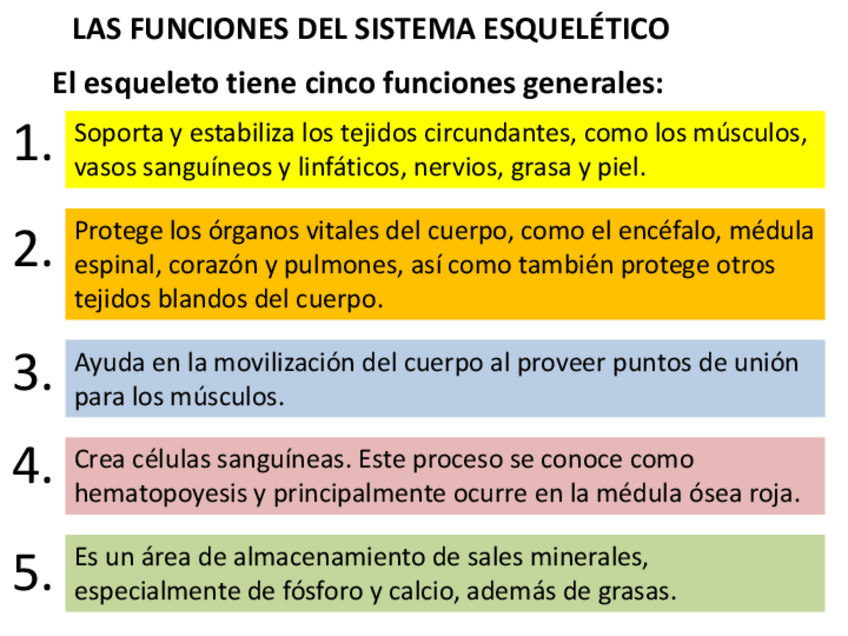 Miniatura del documento generalidades-huesosacidentes-oseos.pdf