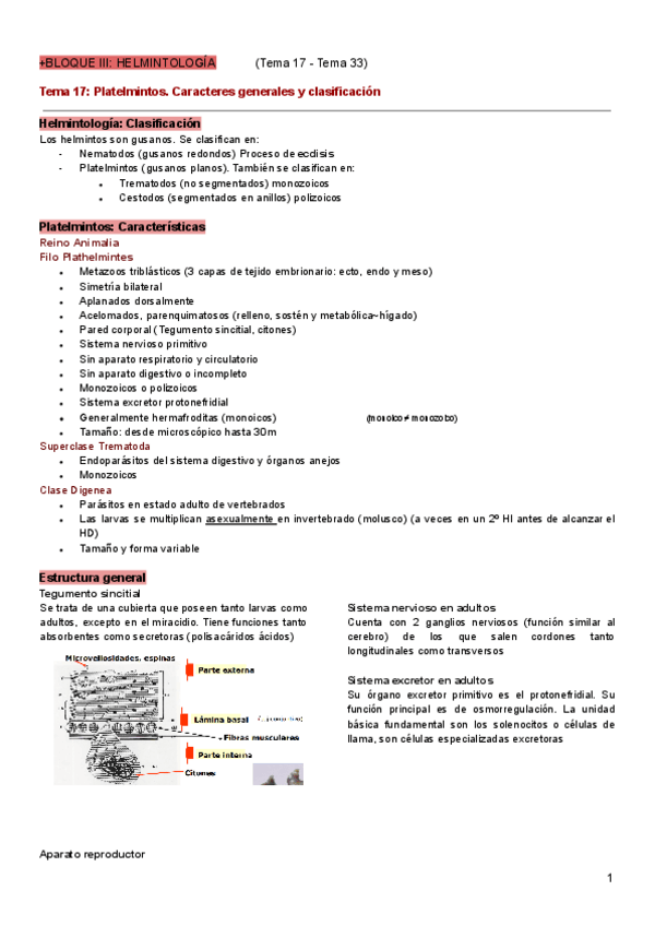 Miniatura del documento Bloque-helmintologia.pdf