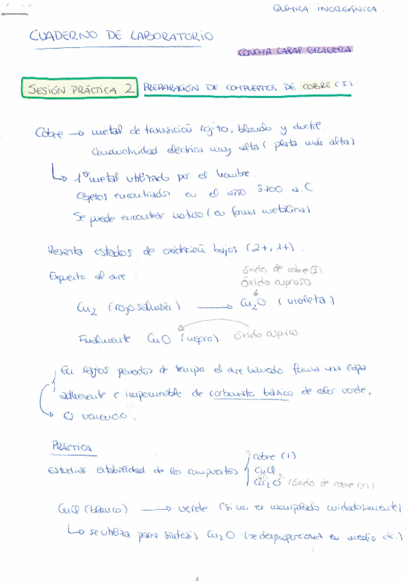 Miniatura del documento Prácticas Inorgánica.pdf