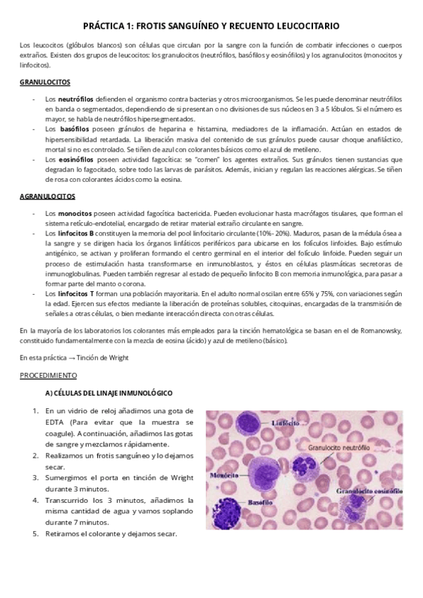 Miniatura del documento PRACTICAS-INMUNOLOGIA.pdf