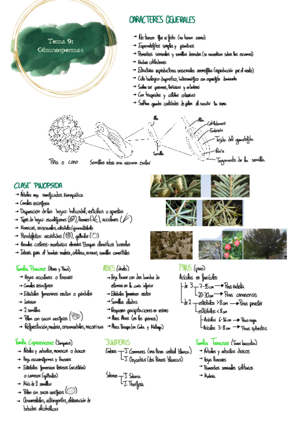 Miniatura del documento Tema-9--corregido.pdf