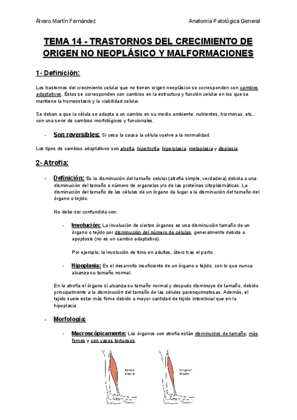 Miniatura del documento TEMA-14-TRASTORNOS-DEL-CRECIMIENTO-DE-ORIGEN-NO-NEOPLASICO-Y-MALFORMACIONES.pdf