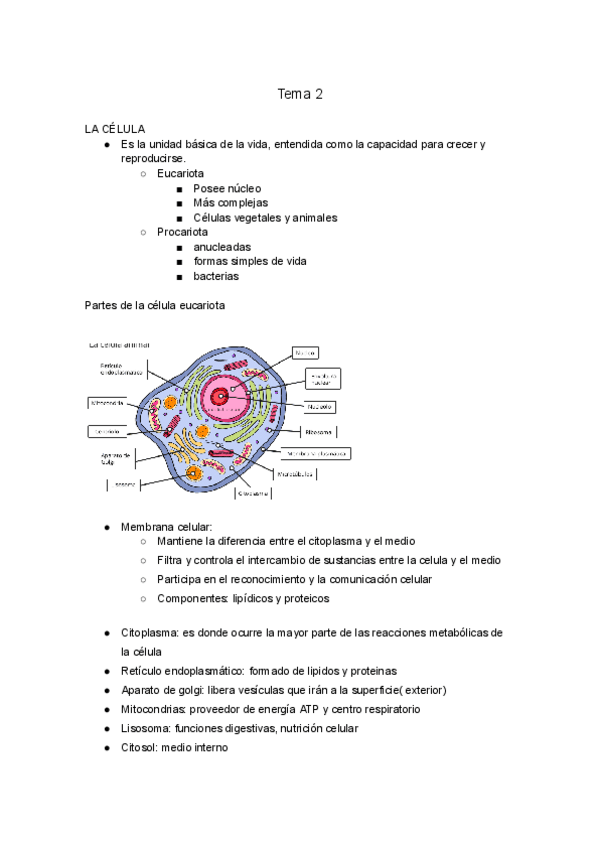 Miniatura del documento tema-2.pdf