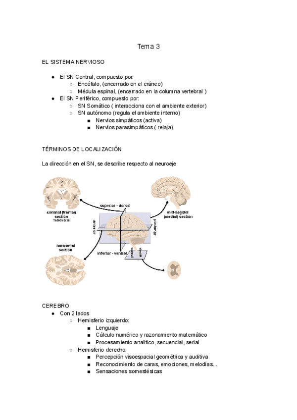 Miniatura del documento Tema-3.pdf