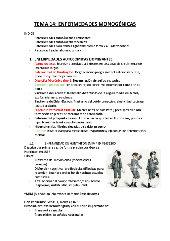 Miniatura del documento TEMA-14.pdf