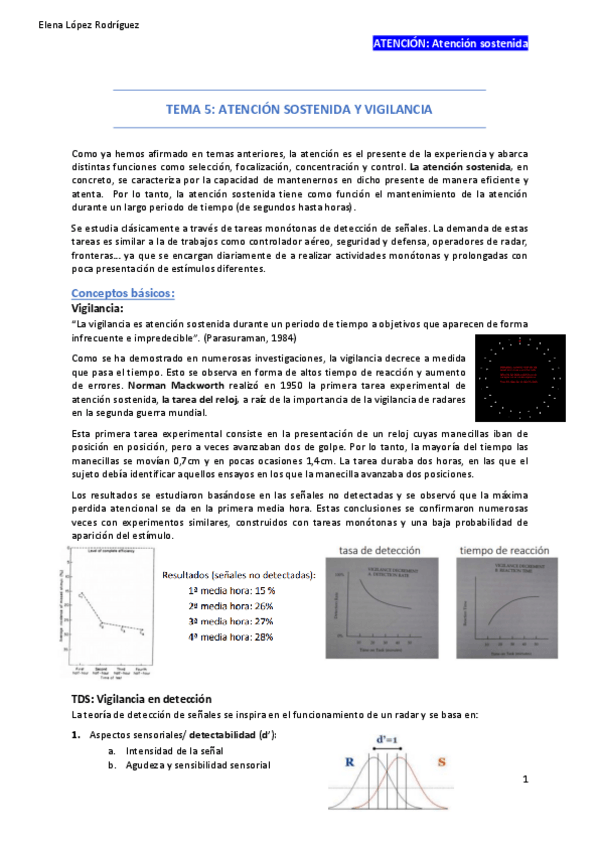 Miniatura del documento ATENCION-sostenida-t5.pdf