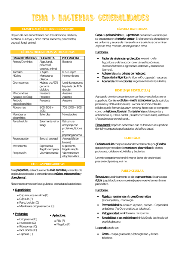Miniatura del documento Tema-1-MBII.pdf