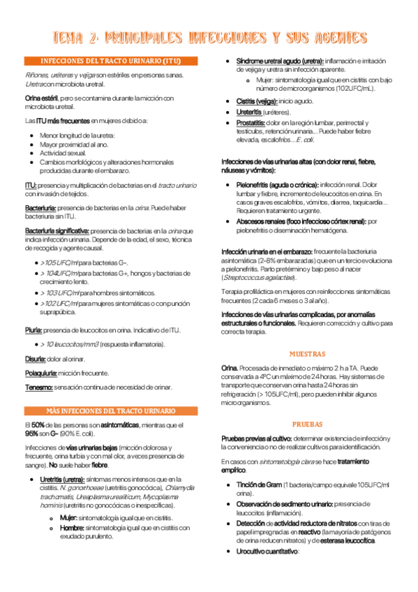 Miniatura del documento Tema-2-MBII.pdf