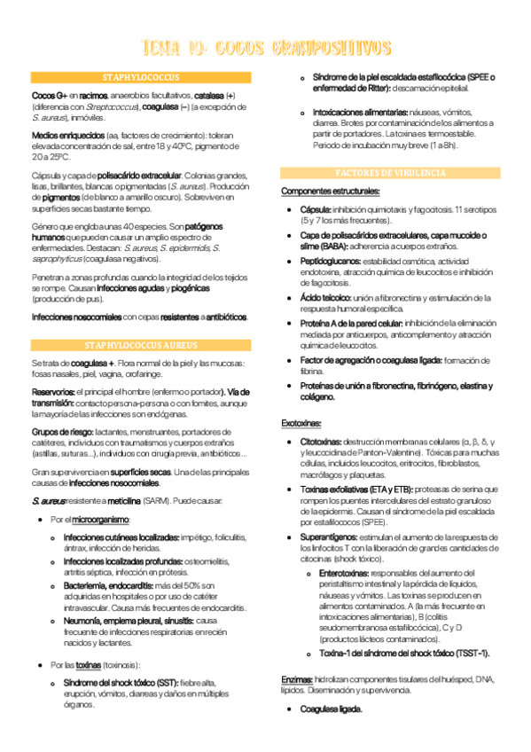 Miniatura del documento Tema-10-MBII.pdf