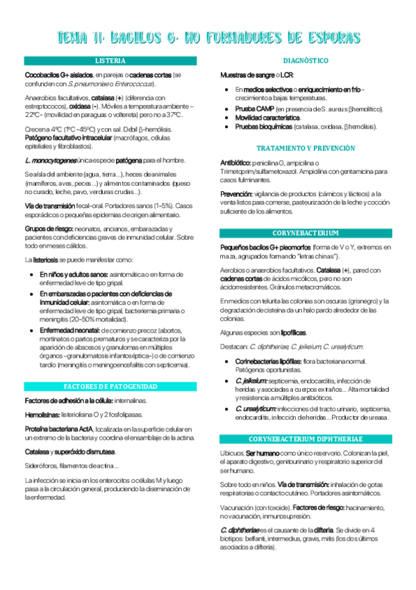 Miniatura del documento Tema-11-MBII.pdf