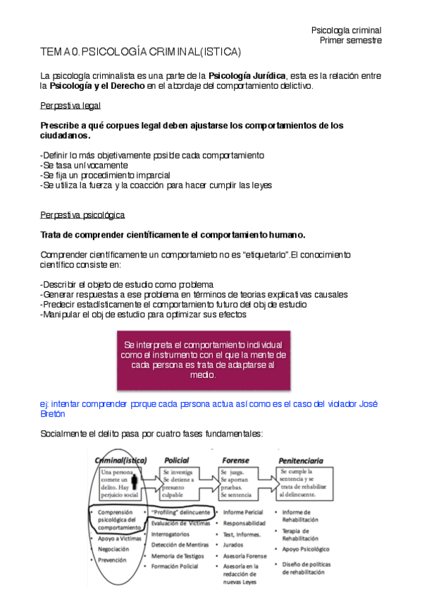 Miniatura del documento APUNTES PSICOLOGÍA CRIMINAL.pdf