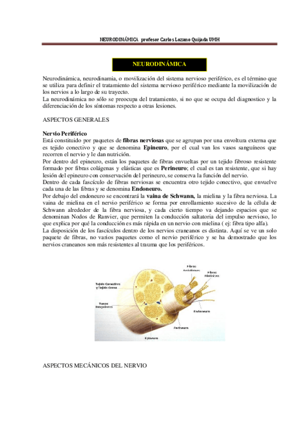 Miniatura del documento APUNTES-DE-NEURODINAMICA-alumnos.pdf