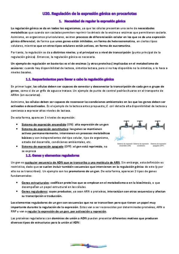 Miniatura del documento U20.-Regulacion-de-la-expresion-genica-en-procariotas.pdf