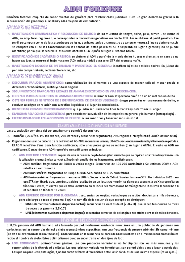 Miniatura del documento t.9.pdf