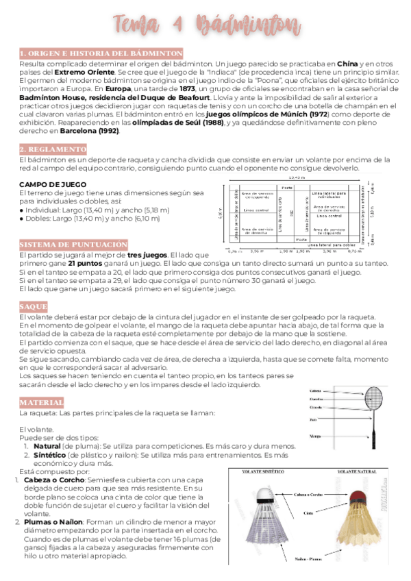 Miniatura del documento educacion-fisica-3-evaluacion.pdf