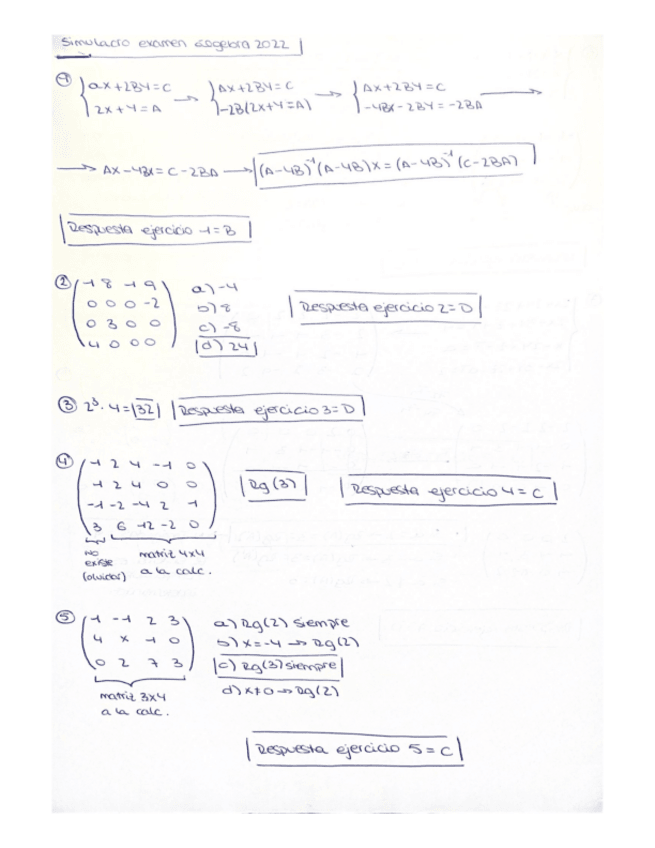 Miniatura del documento Simulacro-parcial-de-algebra-2022.pdf