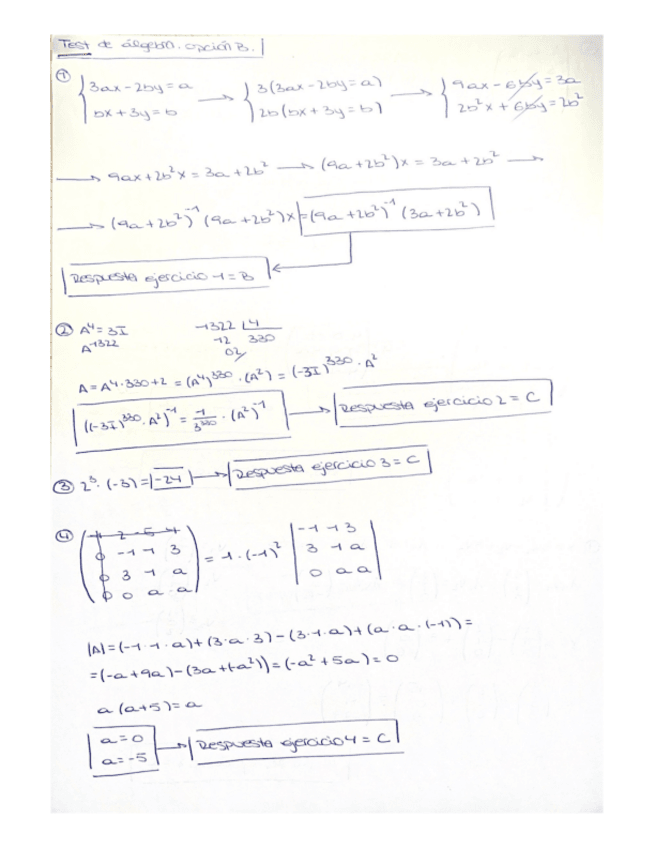 Miniatura del documento Test-de-algebra.-Opcion-B.pdf
