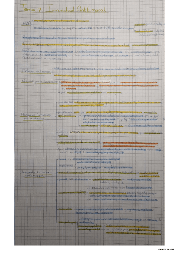 Miniatura del documento Tema 17 Inmuno.pdf