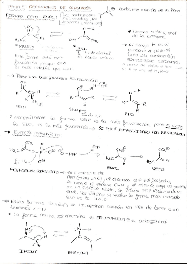 Miniatura del documento Quimica-Organica-Tema-5.pdf