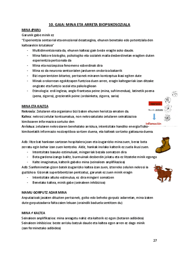 Miniatura del documento 10.-MINA-ETA-ARRETA-BIOPSIKOSOZIALA.pdf