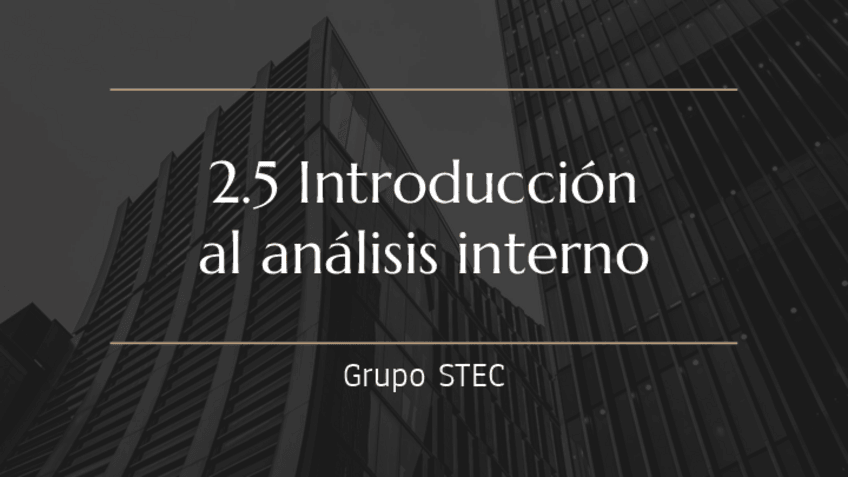 Miniatura del documento Analisis-Interno.pdf