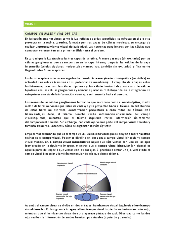 Miniatura del documento VISIO-II.pdf