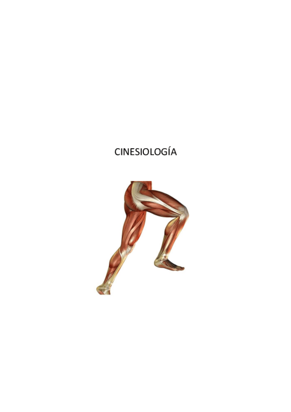 Miniatura del documento CINESIOLOGIA-PARTE-II.pdf