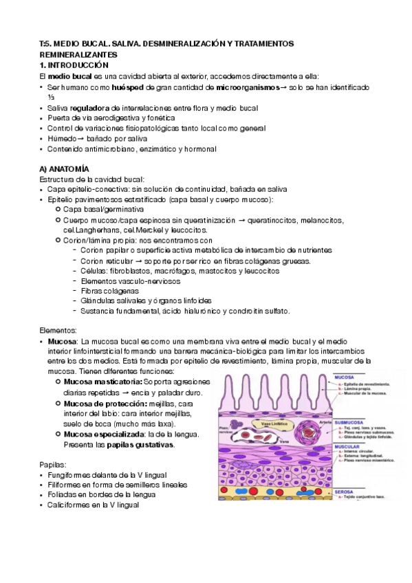 Miniatura del documento preventiva-45.pdf
