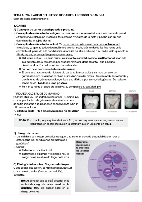 Miniatura del documento preventiva-6.pdf