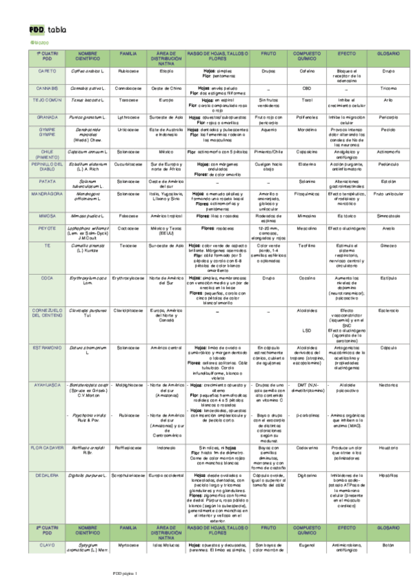 Miniatura del documento PDD-tabla-COMPLETA.pdf
